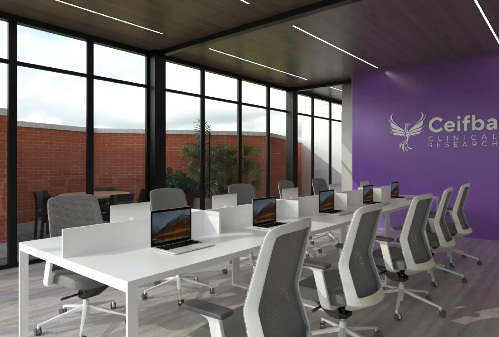 Proyecto hospitalario CEIFBA